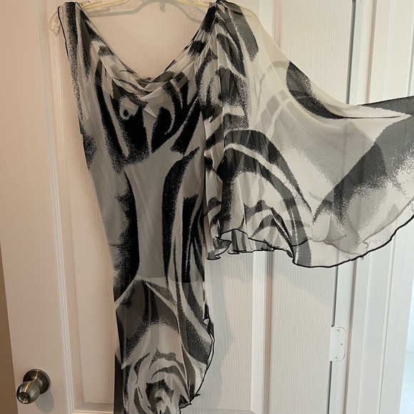 Diane Von Furstenberg Asymmetrical Silk Top- Sheer with inside cami- Size 2 - Picture 2 of 5